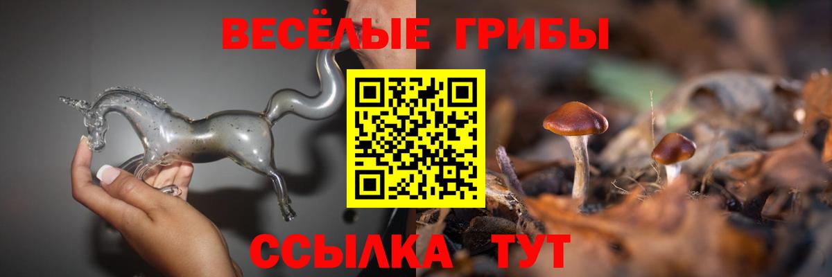 Псилоцибиновые грибы прущие грибы  купить   Азов  Вход с VPN 